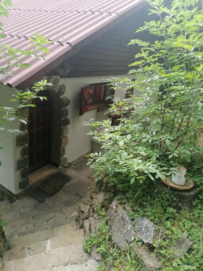 Chalet Le Tyrolien, Au Coeur Du Boreon Saint-Martin-Vésubie Exterior foto